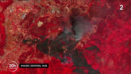 Var : l'incendie est maîtrisé mais la météo pourrait provoquer une reprise du feu