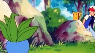 【ポケモン】カスミ「かなりよわっちぃわぁ！！」【Pokemon】I'm pretty scared!!
