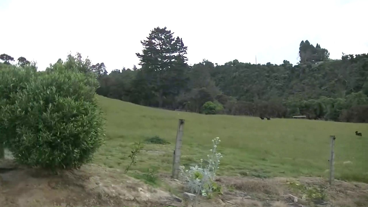 LEGENDARY ROTTWEILER FARM