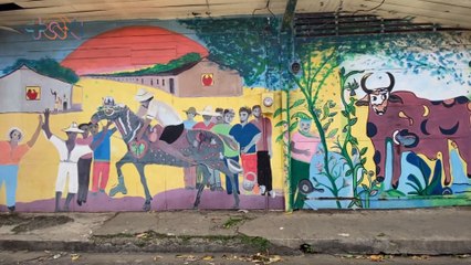 mqn-Artistas santacruceños embellecen comunidad guanacasteca-200821