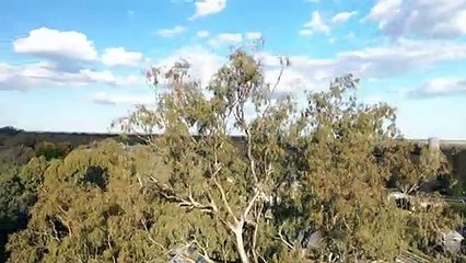 Restrictions hit cross-border community of Mungindi