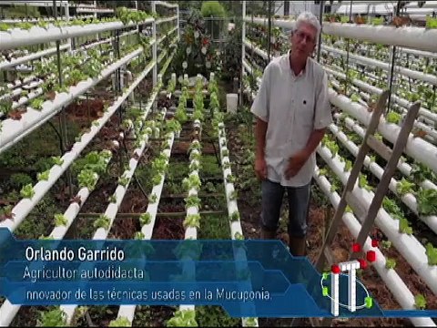 Independencia Tecnológica | Laboratorios del INSAI en Mérida desarrollan biofertilizantes para los cultivos agrícolas