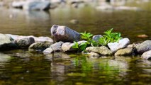 10 MINUTES OF SOUND OF STONES IMPACTING  SOUNDS OF SATISFACTION  IDEAL FOR CALM 