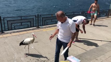 İSTANBUL BOĞAZI'NIN YAREN'İ