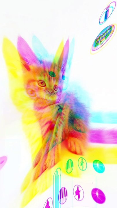 Amazing Funny Dance & Talking Cat Video New 2021 . #animals #trending #funny #new2021 #Cat #Amazingcat #CatDance