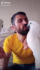 canavar bulut ve yağmur