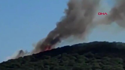 Son dakika haber: HEYBELİADA'DA ORMAN YANGINI (2)