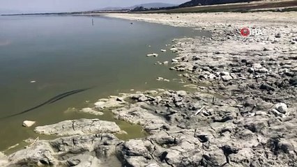 Burdur gölünde alg patlaması...Göl kahverengiye döndü