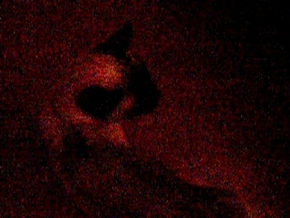 Lya 2