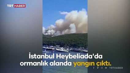 Heybeliada'da ormanlık alanda yangın