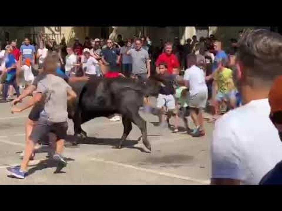 Eyragues : les enfants prennent le taureau par...