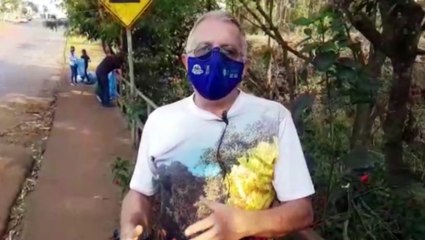 Grupo Amigos dos Rios realiza limpeza em praça no Bairro Periolo