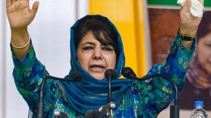 See how Taliban overthrew US from Afghanistan: Mehbooba warns Centre on J&K's special status