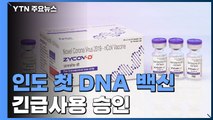 美 화이자 '정식 승인' 임박...인도, 첫 'DNA 백신' 긴급사용 승인 / YTN