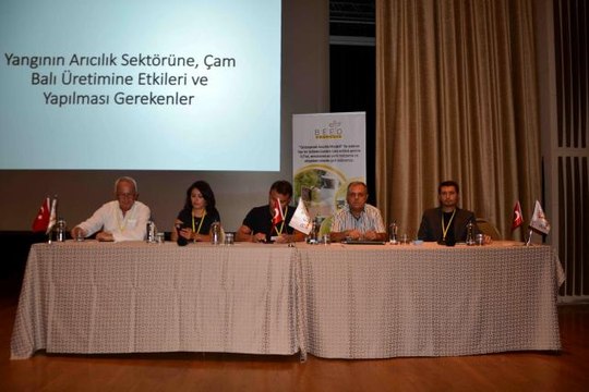 Türkiye Arı Yetiştiricileri Merkez Birliği Başkanı Ziya Şahin: Acil eylem planı hazırlanmalı