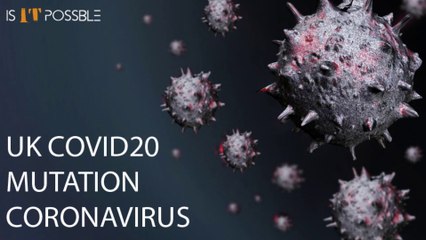 What If Coronavirus Doesn't End - COVID 19