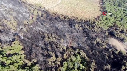 Heybeliada’da yangının bıraktığı hasar görüntülendi