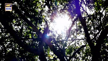 Pehli Si Muhabbat Ep 30