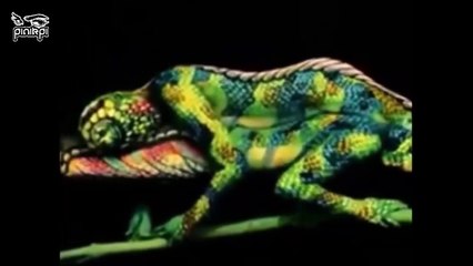 [৪র্থ পর্ব] ভিডিওটি দেখলে দৃষ্টিভ্রম হবেই! Optical illusions in bangla [Part 04]