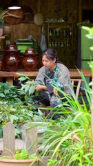 Country small nest ~_2_ Mujiangzi is also called Litsea cubeba, eat fresh, too expensive rice