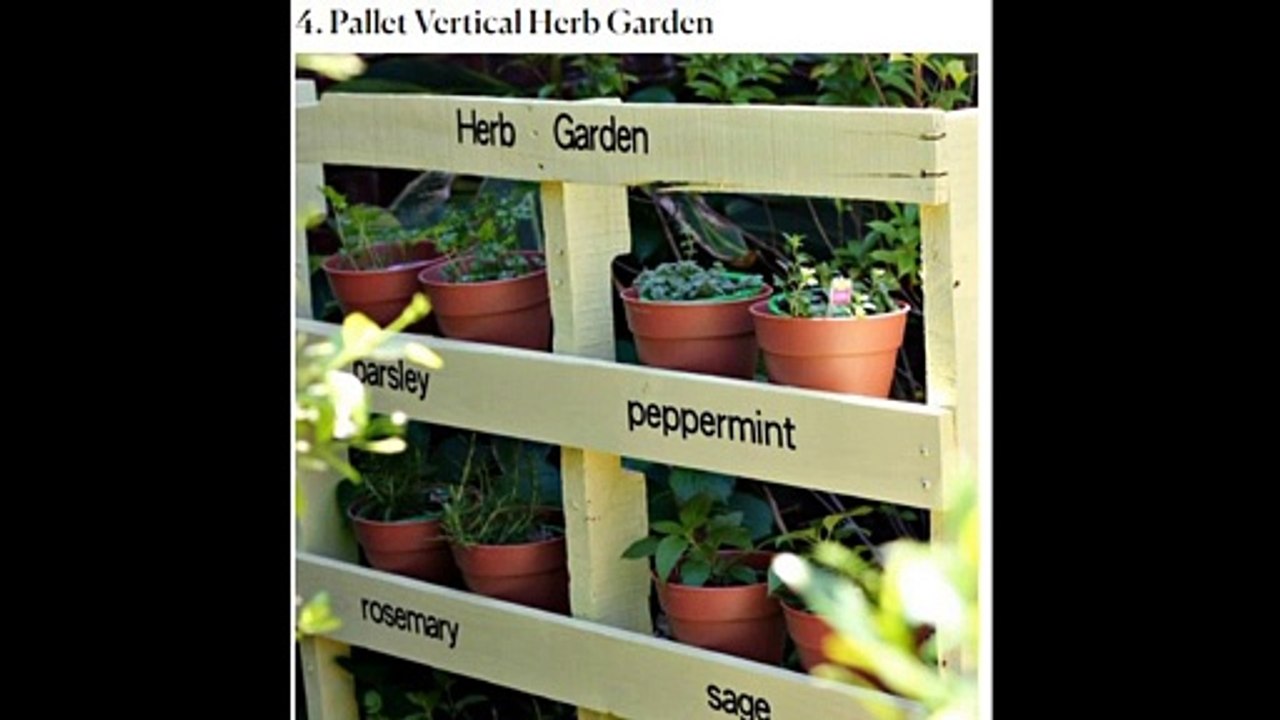 Top 10  Vertical Garden Ideas