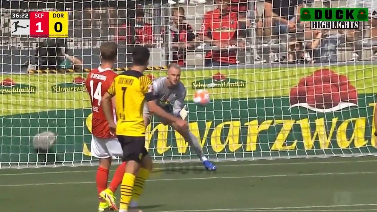 Freiburg vs Borussia Dortmund 2-1 Highlights & Goals 2021 HD