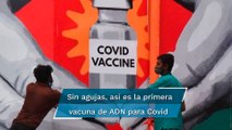 Así es la primera vacuna de ADN del mundo para la Covid-19 aprobada en India