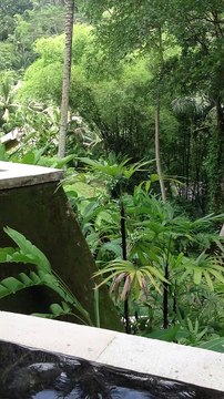 Bali - River villa 2 | Anthony S Casey Singapore