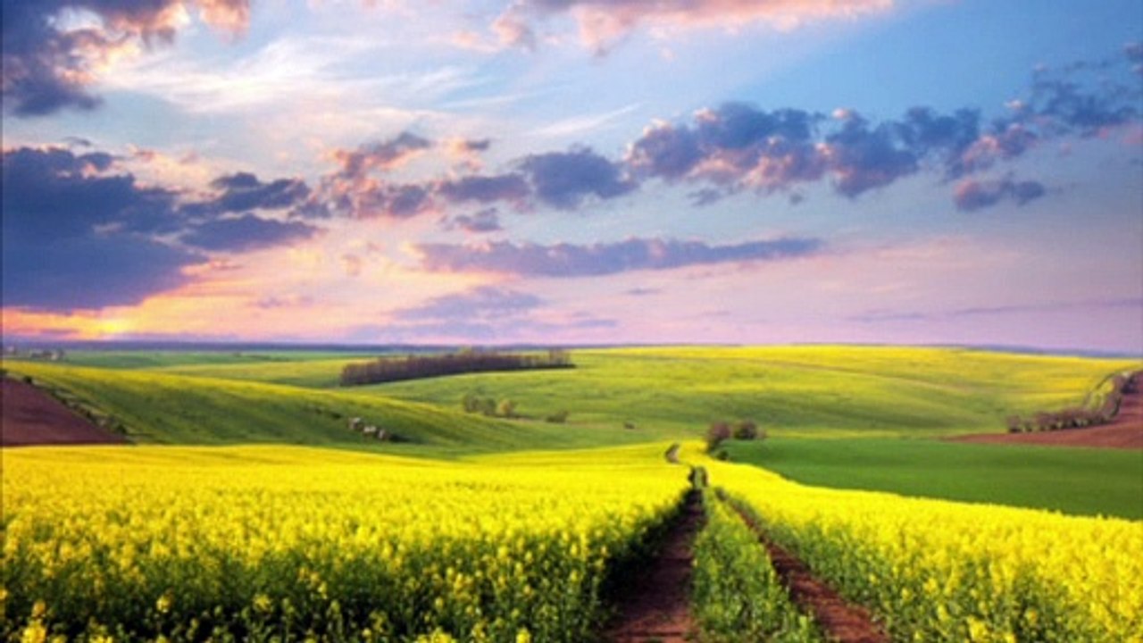 Il green pass, un concetto biblico