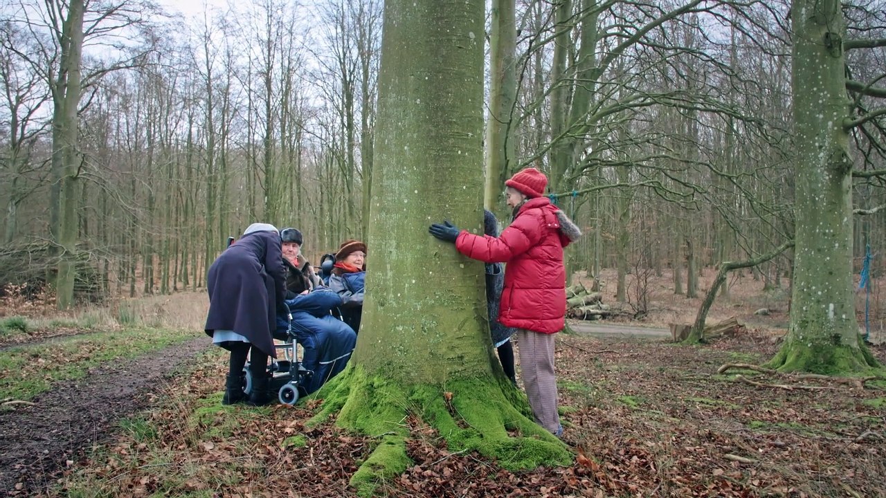 MITGEFÜHL Film