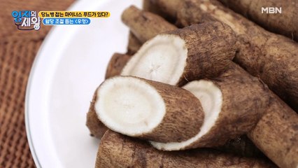 ★체력 지키면서 다이어트 하는 법★ 우엉에 답이 있다?!