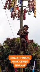 Panjat pinang anak cewe ngakak