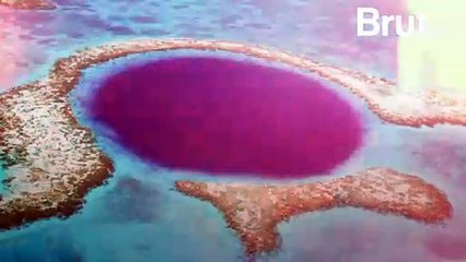 Le Grand Trou Bleu du Bélize