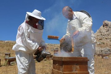KURAKLIK TOROSLAR'DA DA BAL ÜRETİMİNİ VURDU