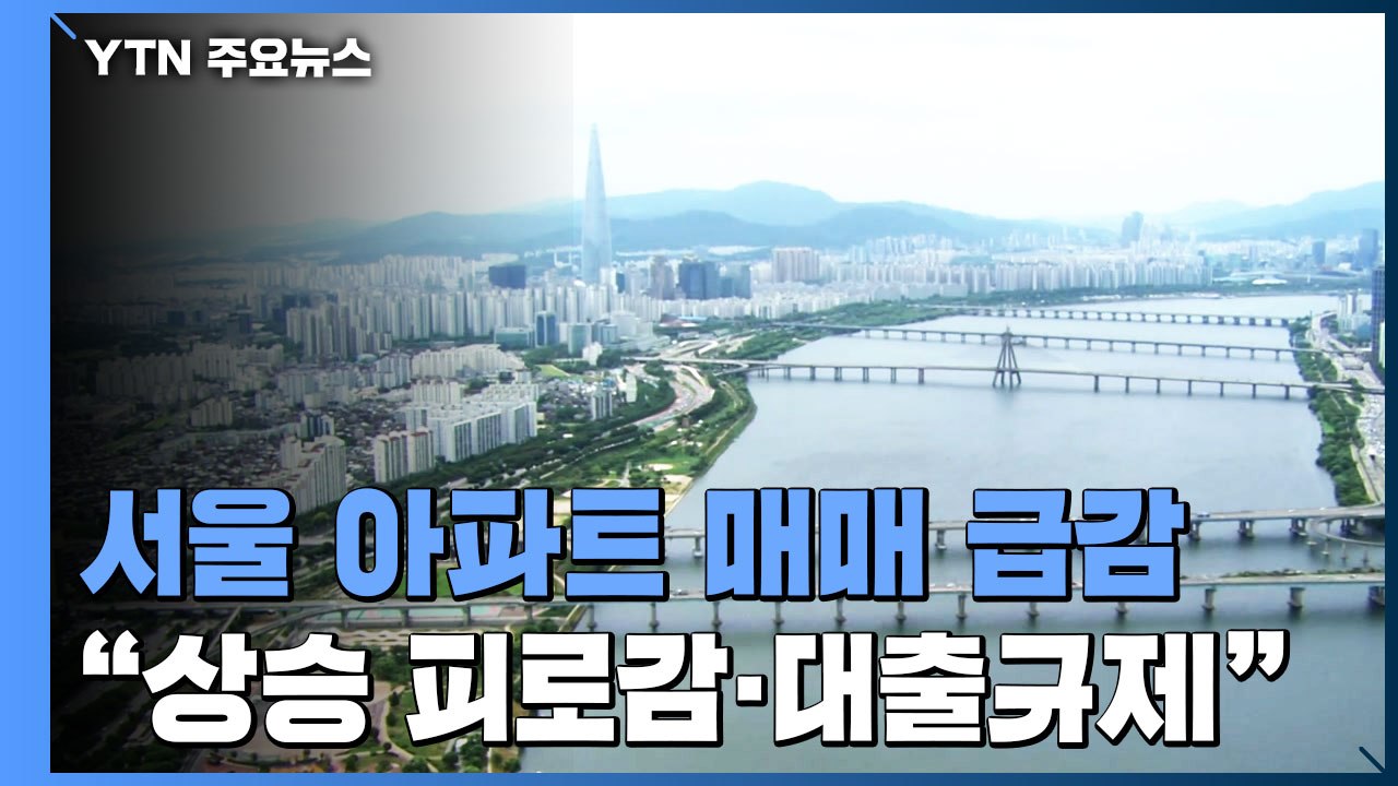 8월 서울 아파트 매매 급감..."집값 상승 피로감·대출 규제 영향" / YTN