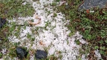 Dolu yağışı Oltu'yu beyaza bürüdü