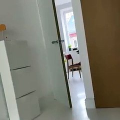 كلب لص ينفذ خطة ذكية لسرقة الطعام في فيديو أشعل مواقع التواصل