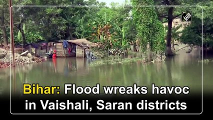 Flood wreaks havoc in Bihar's Vaishali, Saran districts 