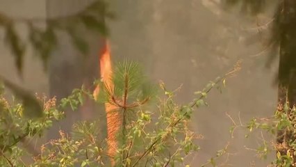 El incendio 'Caldor' calcina el norte de California
