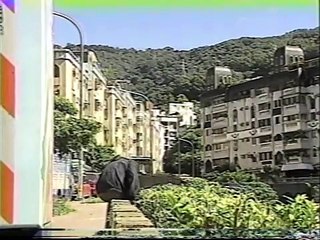 HOA HƯỚNG DƯƠNG tập 13a