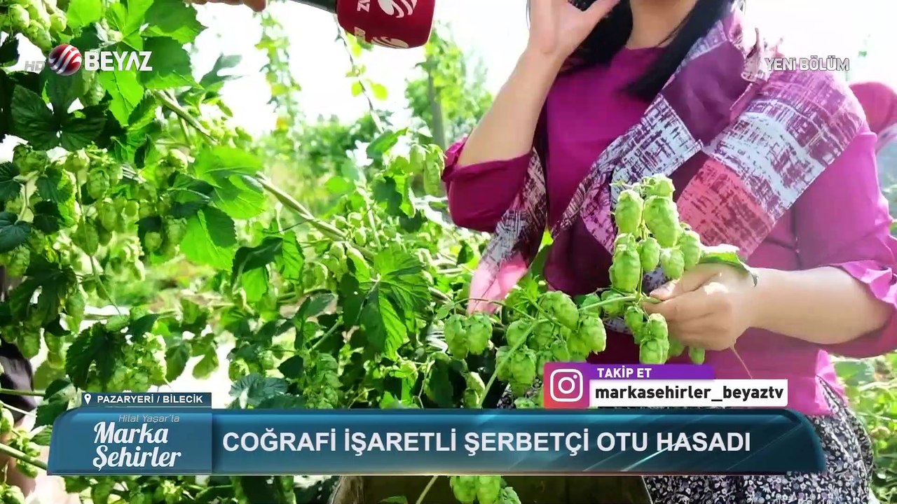 Marka Şehirler 22 Ağustos 2021
