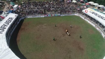 Kafkasör boğa güreşleri renkli görüntülere sahne oldu