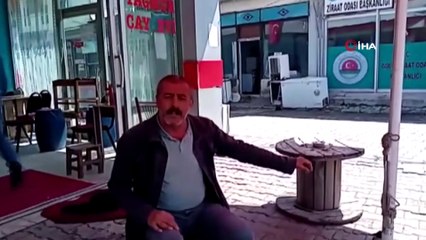 Elleriyle besledikleri karga yanlarından ayrılmıyor