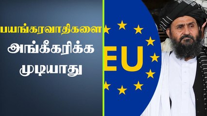 Taliban பயங்கரவாதிகளை அங்கீகரிக்க முடியாது - European Union அதிரடி