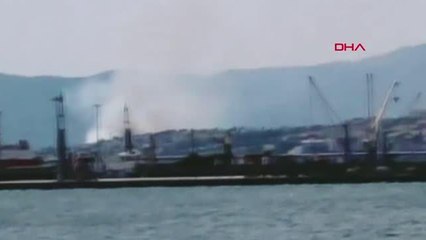 Son dakika haberi... TEKİRDAĞ'DA 2 AYRI AĞAÇLIK ALANDA YANGIN