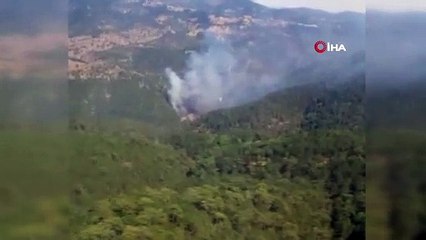 Dursunbey’de orman yangını