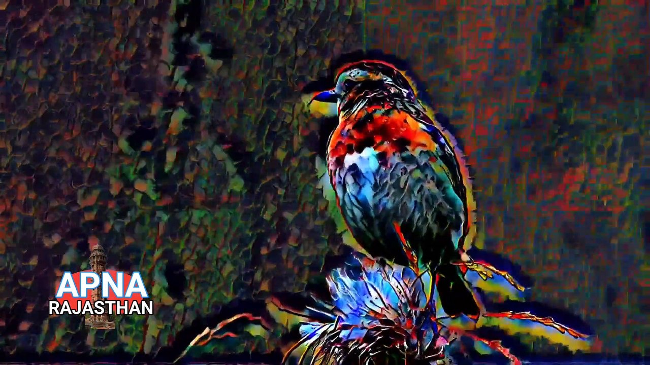 background video  background  background music  4k Golden Dust Background Looped Animation