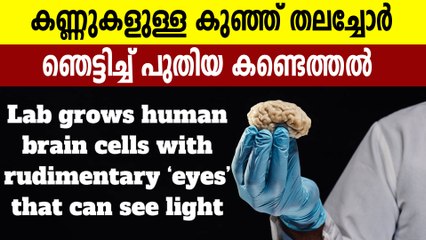 ഭാവിയില്‍ പല രോഗങ്ങളുടെയും ചികിത്സയ്ക്ക് ഉപകാരപ്രദം | Oneindia Malayalam