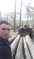 ÜZERİNE TOMRUK DÜŞMESİYLE YARALANDI, AMBULANS HELİKOPTERLE SEVK EDİLDİ