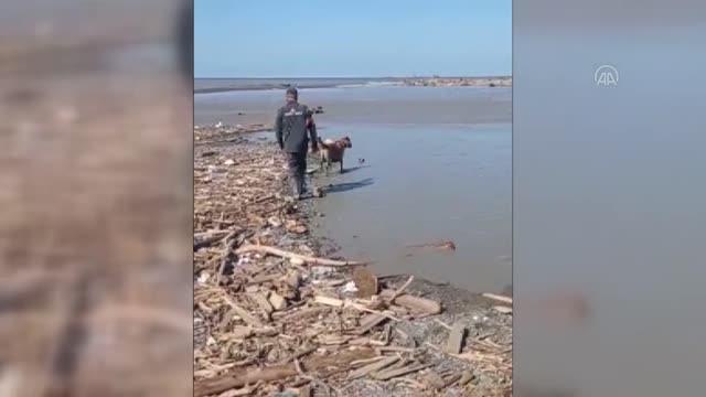KASTAMONU - Bozkurt'ta selde kaybolan vatandaşları arama çalışmaları sürüyor